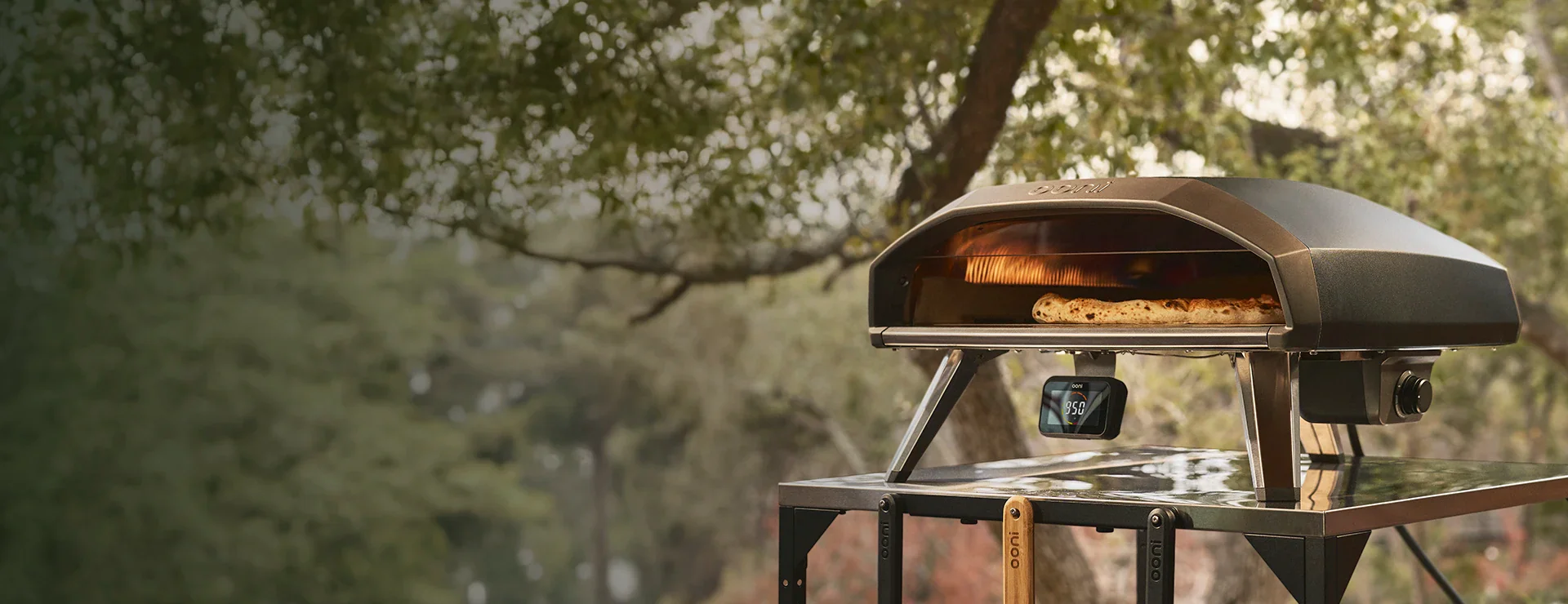 Master the Art of Pizza